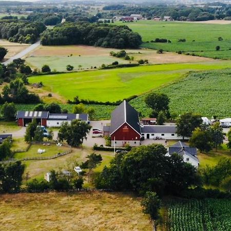 Rödlix Vandrarhem&Camping Tvååker Exteriör bild